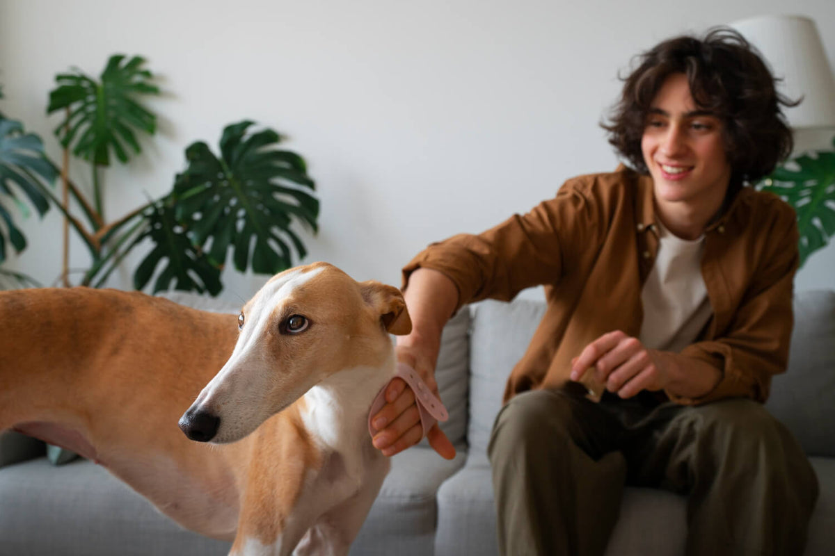 Terapia Asistida con Perros