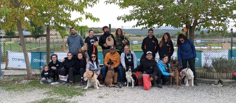 PRUEBA DETECCIÓN BREEDNA BELOARÁN