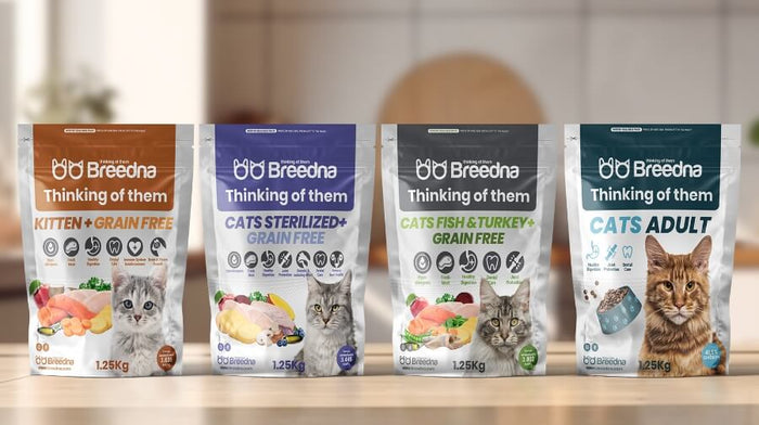 ¿Conoces la nueva gama de productos para gatos de Breedna?