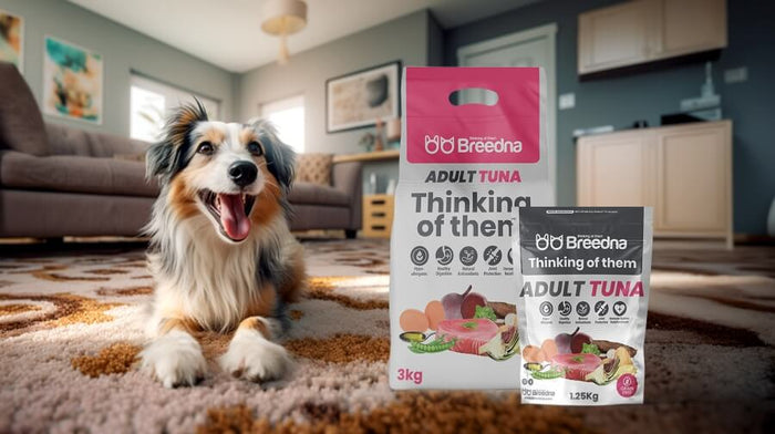 ¿Cómo saber si mi perro necesita comer pienso hipoalergénico?