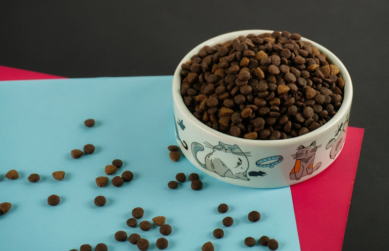 croquettes pour chat stérilisé