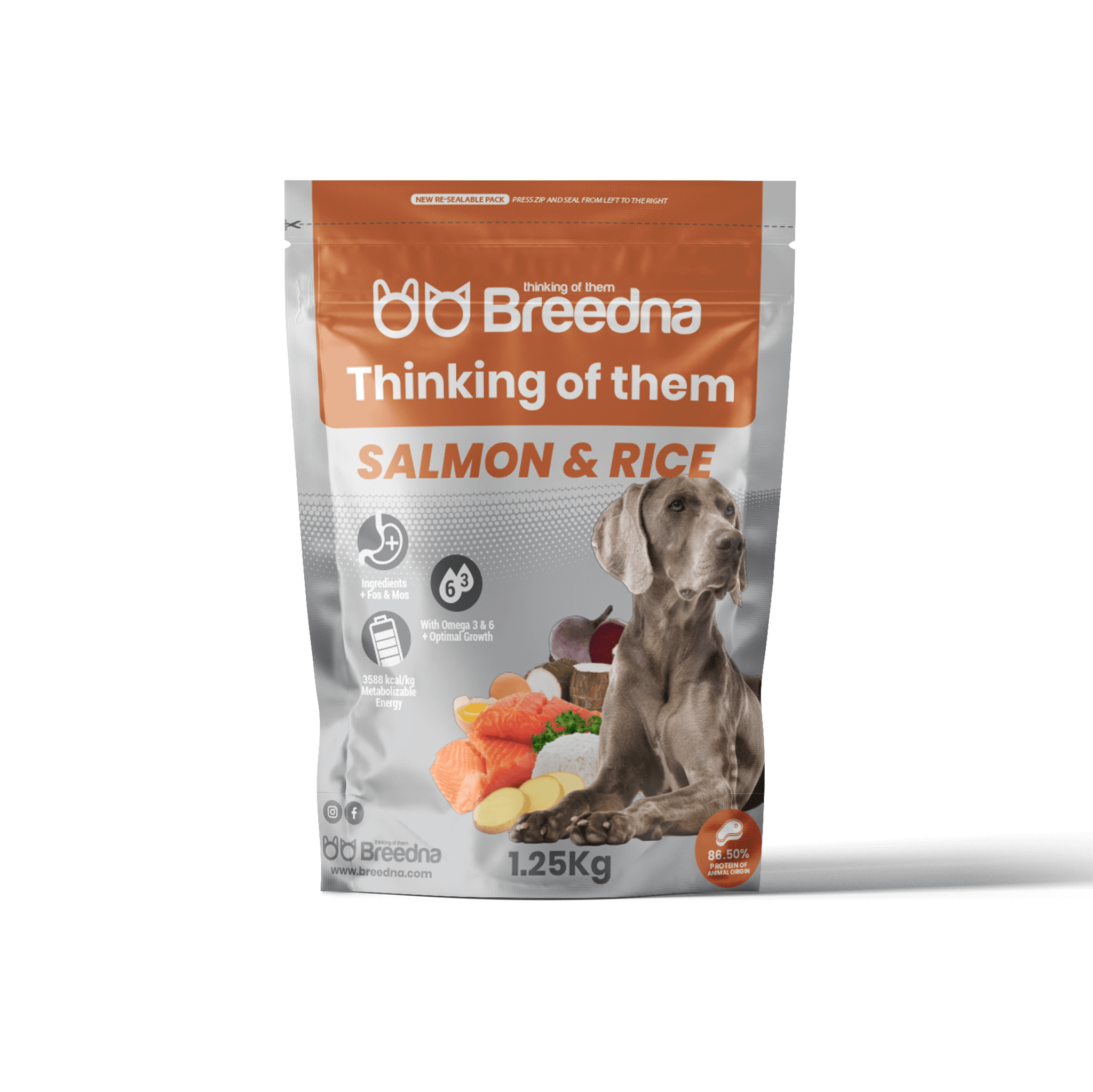 ADULT SALMON&RICE 【Food for Adult Dogs】- Breedna