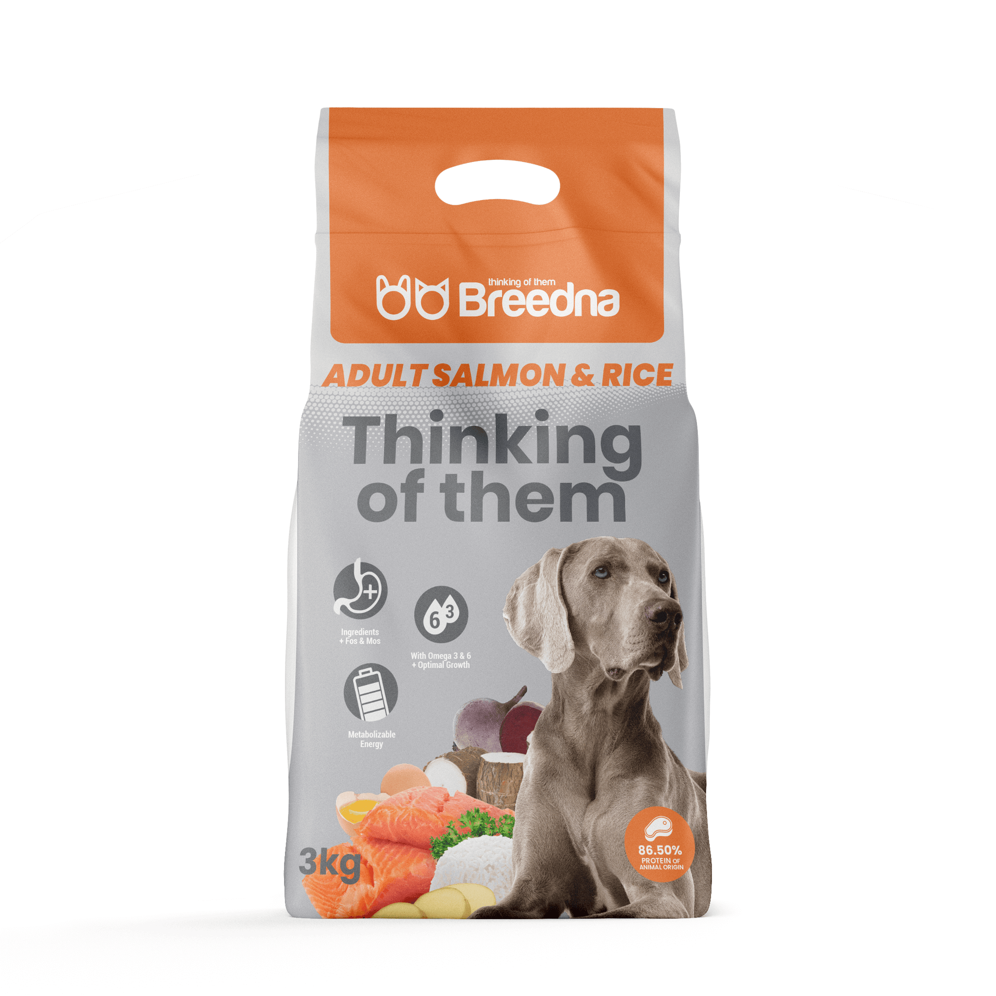 ADULT SALMON&RICE 【Food for Adult Dogs】- Breedna