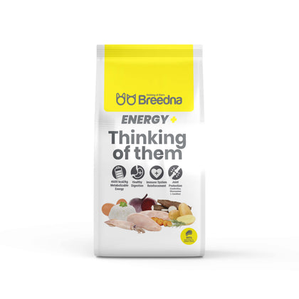 ENERGY+   Adult dog food with turkey & chicken